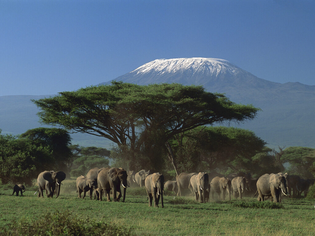 Arusha National park In The Arusha Region